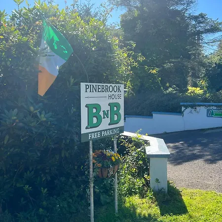 Pinebrook Bnb - 1f Budget With Shared Bath - 2 Types Bed & Breakfast