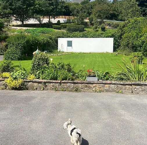 Pinebrook Bnb - 1f Budget With Shared Bath - 2 Types